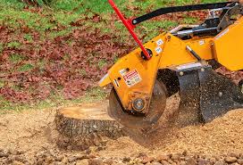 Lawn Pest Prevention in Waynesville, NC