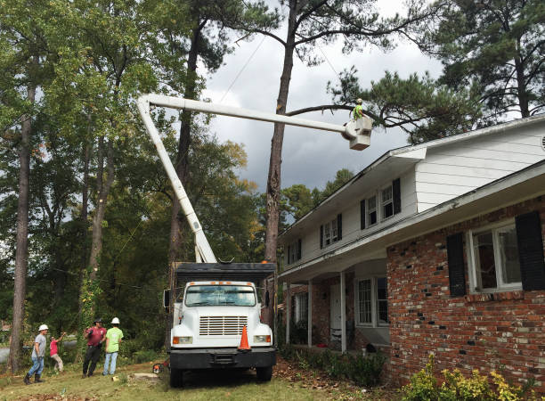 Soil Testing and Treatment in Waynesville, NC